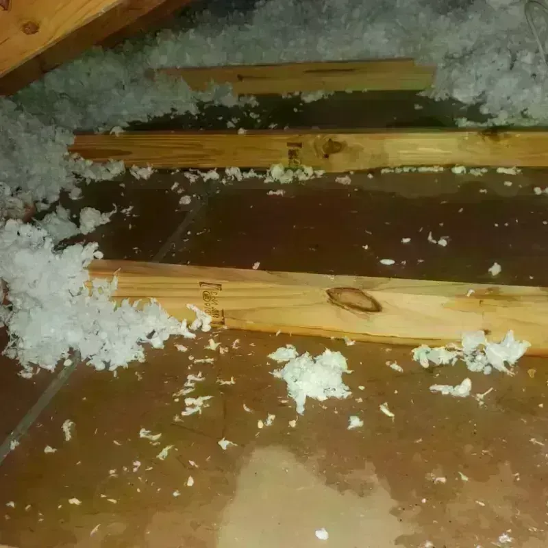 Attic Water Damage in Framingham, MA